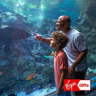 Admission to the Aquarium of the Pacific for 2 - Los Angeles