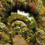 Daniel Stowe Botanical Garden