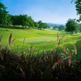 Sandals Upton Estate Golf & Country Club