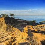 Torrey Pines State Beach