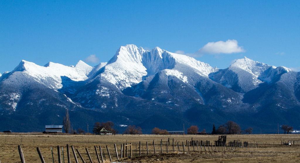 The Wedding Website of Mia Bertalan and Stuart Allyn