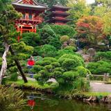 The Japanese Garden