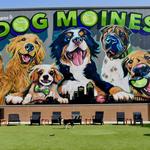 Paws & Pints
