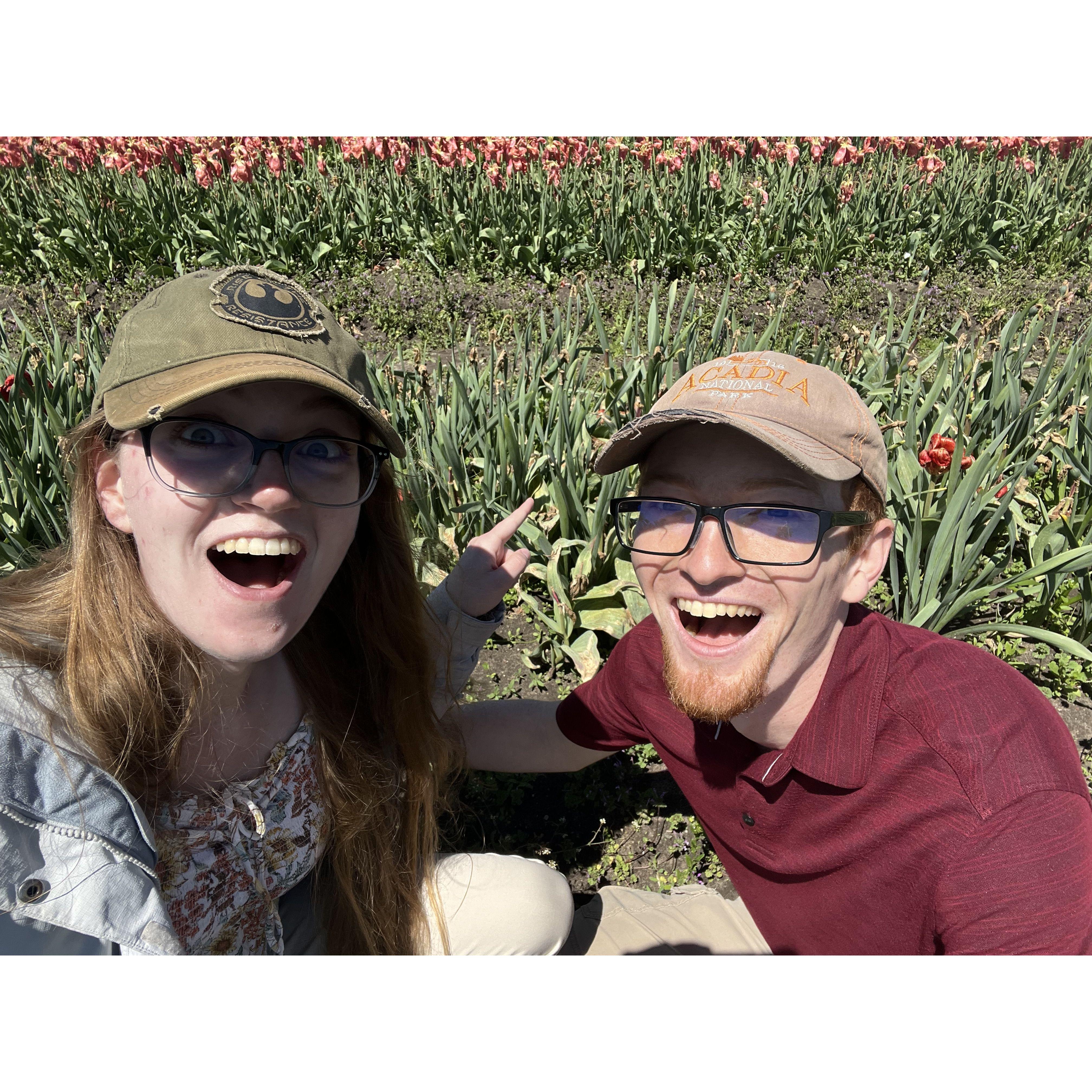 Tulip Festival May 2024
