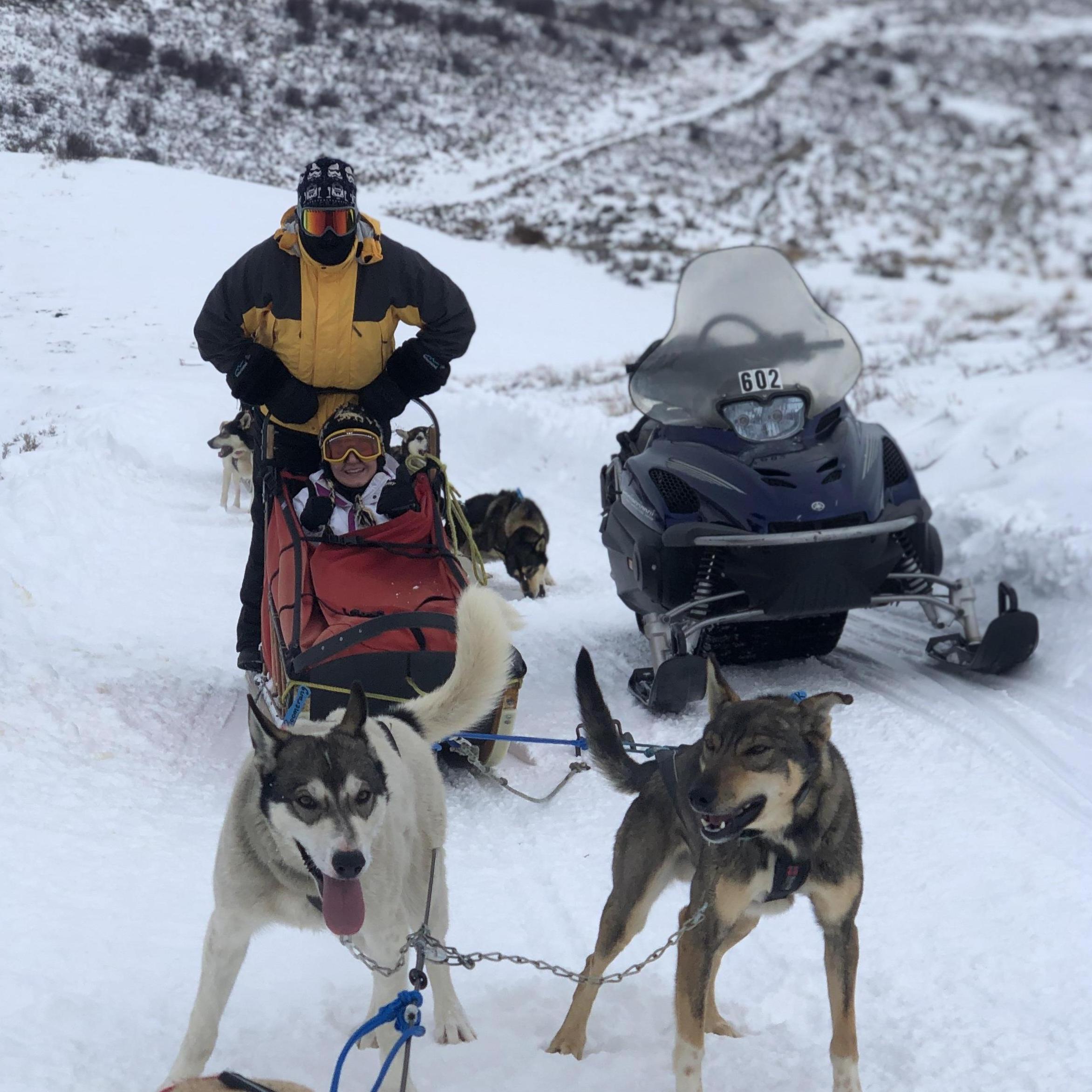 dog sledding!