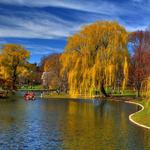 Boston Common