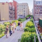 The High Line
