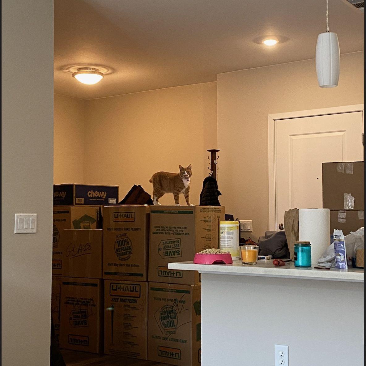 As you can imagine, she runs the house.