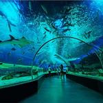 Manila Ocean Park