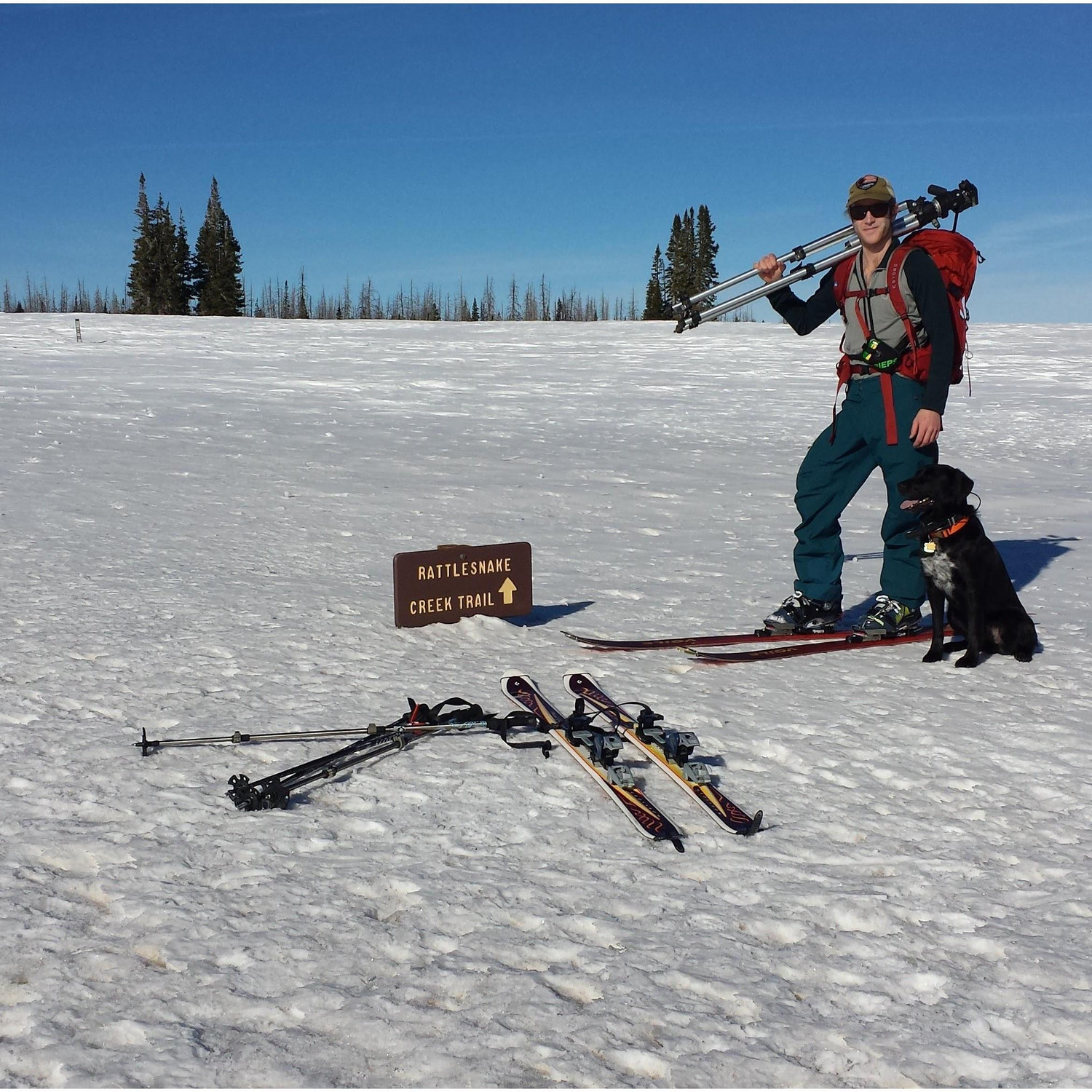 Backcountry Skiing: the first time Sara tried backcountry skiing was into the Cedar Breaks forest plot we work in. Tucker did all the heavy lifting, and Sara tried to keep up (2016)!