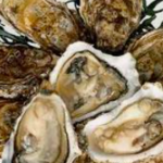 Oyster Bars