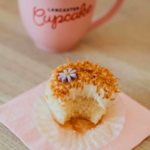Lancaster Cupcake