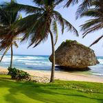 Bathsheba Beach