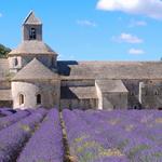 Abbaye Notre-Dame de Sénanque (Lavender Fields at French Abbey)