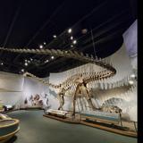 Denver Museum of Nature & Science