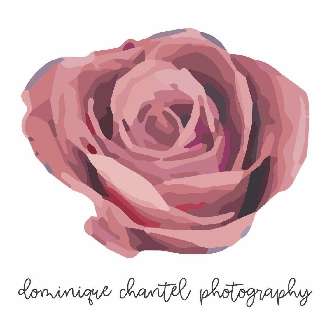 Dominique Chantel Photography