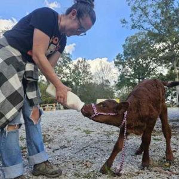 GoatFundMe*- Sponsor a Rescue Animal