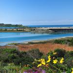 Batiquitos Lagoon North Bluff Trail Windrose Circle Trailhead