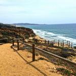 Torrey Pines State Reserve