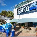 The Florida Aquarium