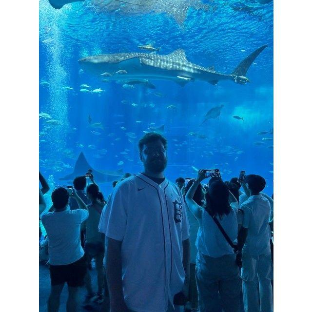 Brice's first time at the Churaumi Aquarium in Okinawa, Japan