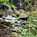 Almonesson Creek Park