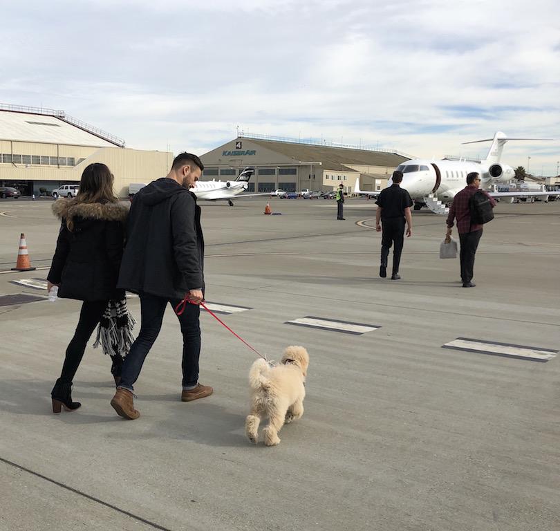 The Wedding Website of Danielle Bakhtiari and Garrett Barbic