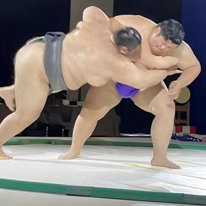 Sumo Experience