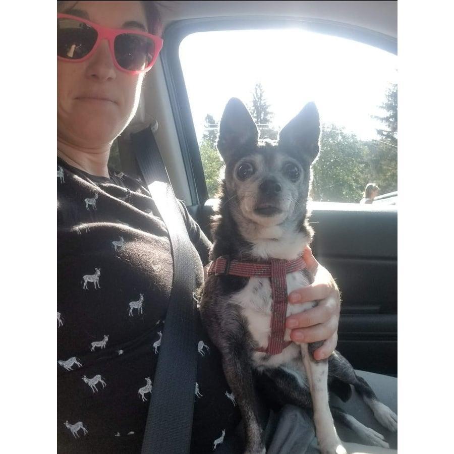 Ness loves her best friend, but was NOT happy mom walked away for 5 minutes. Astoria, OR. May 2019