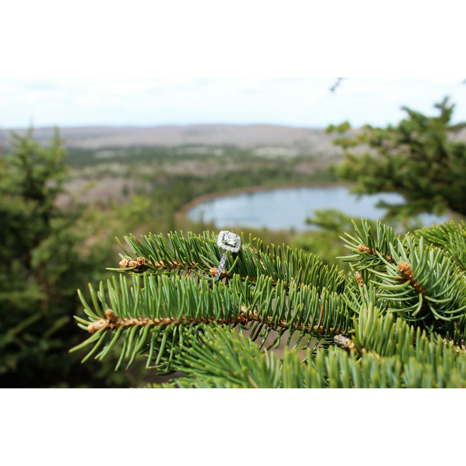 Where Josh proposed and Rachel said yes.