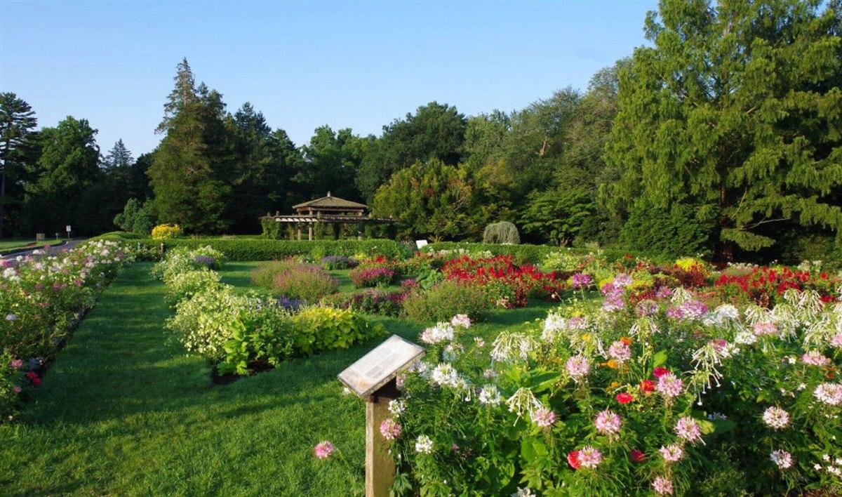 The Wedding Website of David Burke and Lisa Novinsky