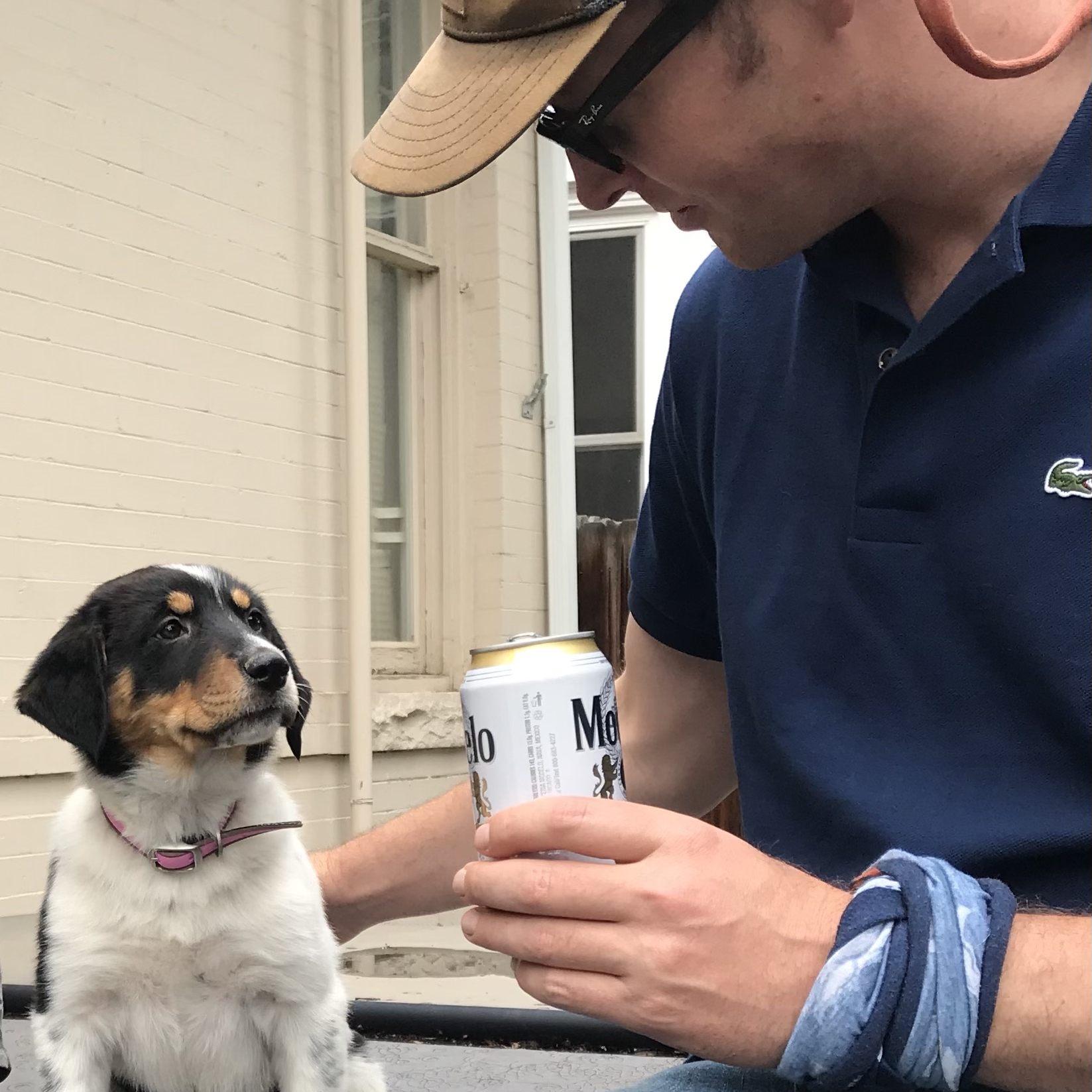 The day we met our new best friend. LadyBug (aka- Lady Stanley Pucchi) 