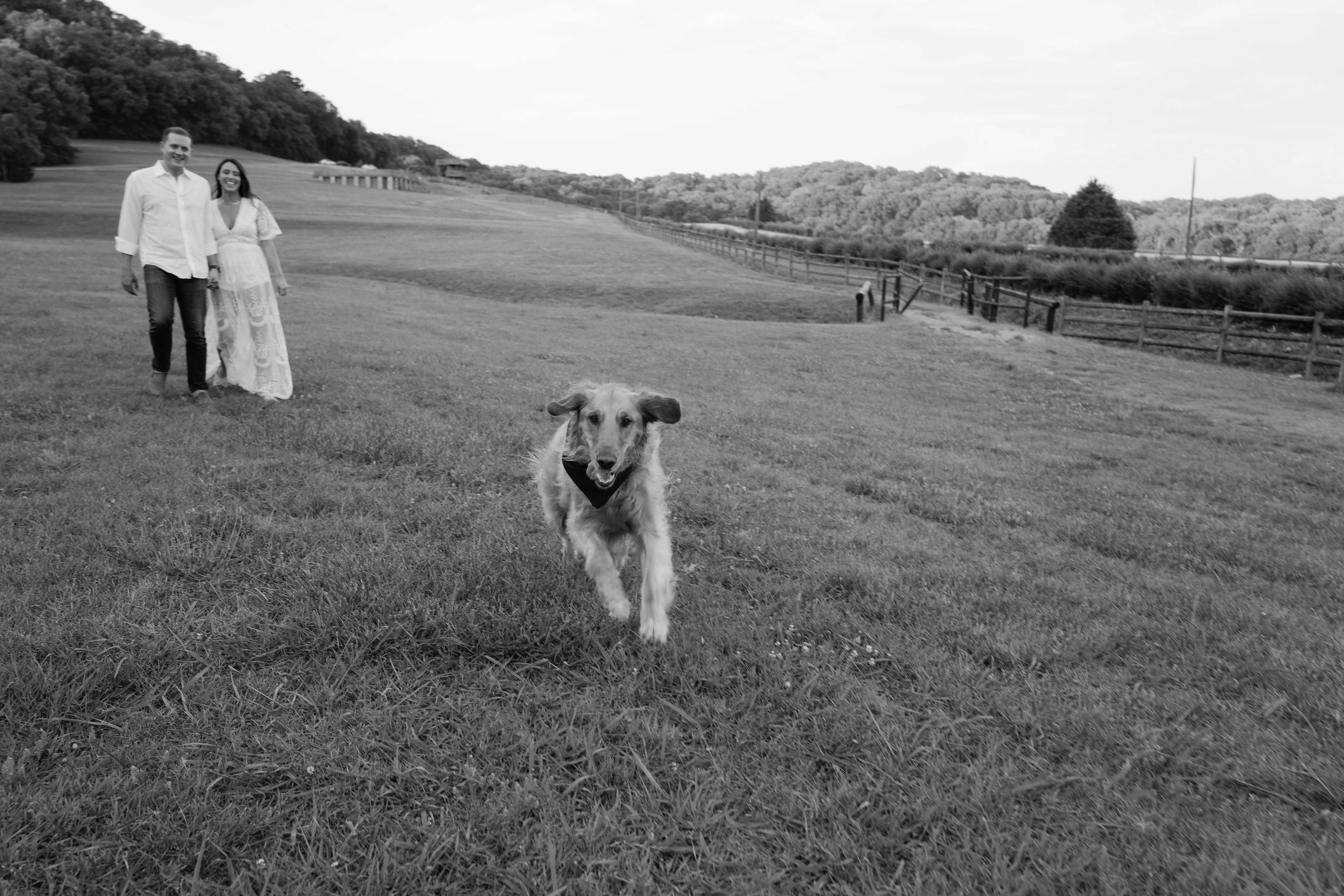The Wedding Website of Caitlin Glasgow and Carsten Bick