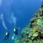 Scuba Diving