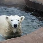 Oregon Zoo