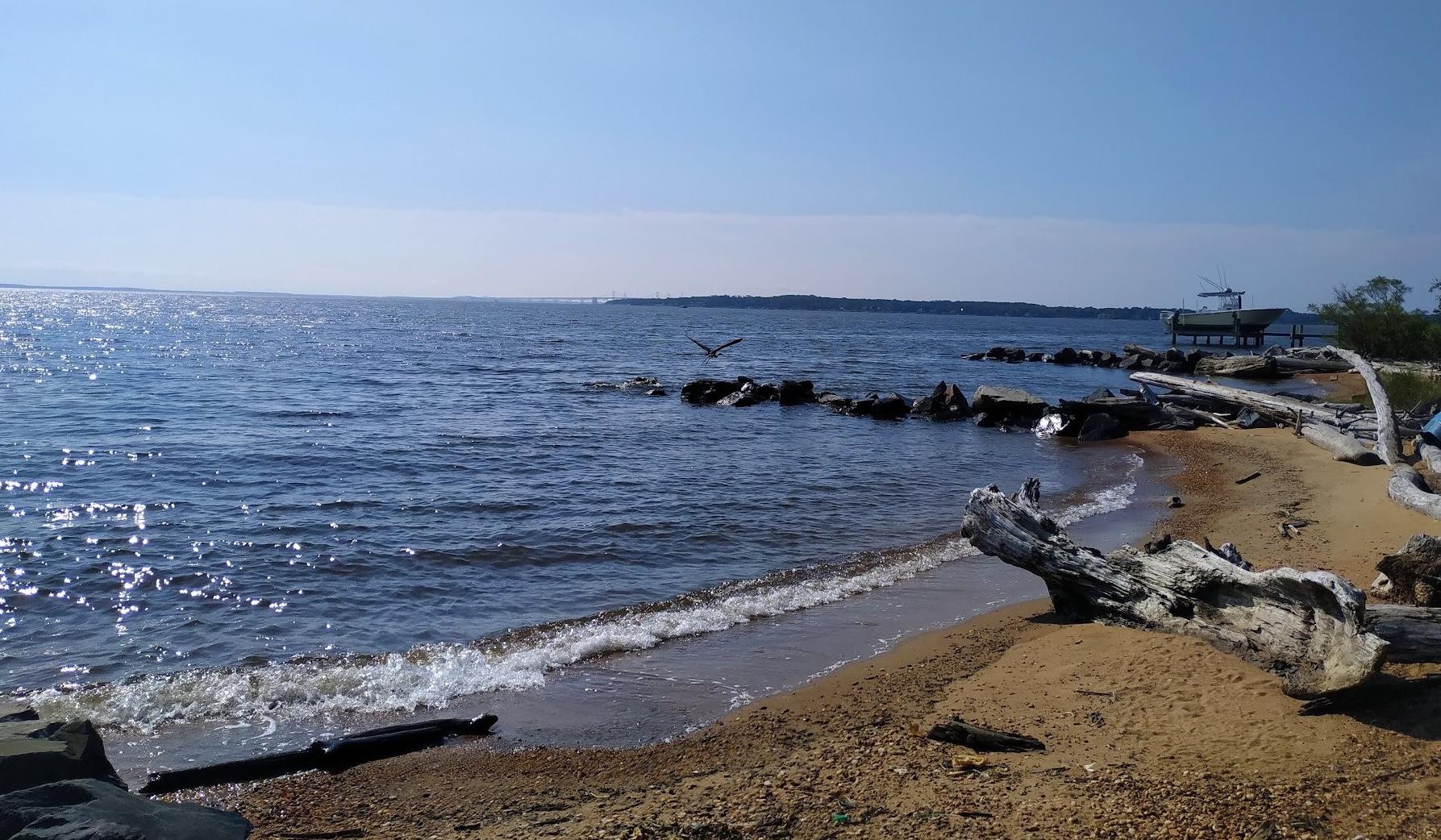 The Wedding Website of Lilly Rogers and Rémi Hernandez