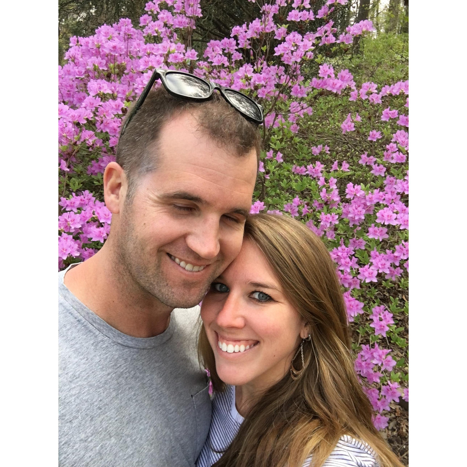 We love visiting the azaleas at the National Arboretum