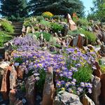 Yampa River Botanical Gardens