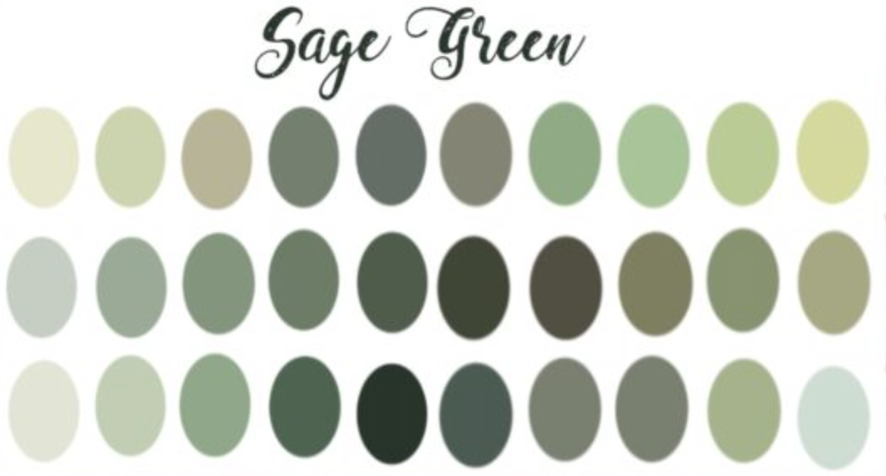 The Wedding Website of Sydney Tillman and Blake Brown