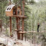 Treehouse Adventure Park