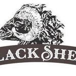 Black Sheep Beaufort, NC