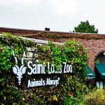 Saint Louis Zoo