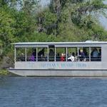 Swamp Tour Boat Adventure with Transportation