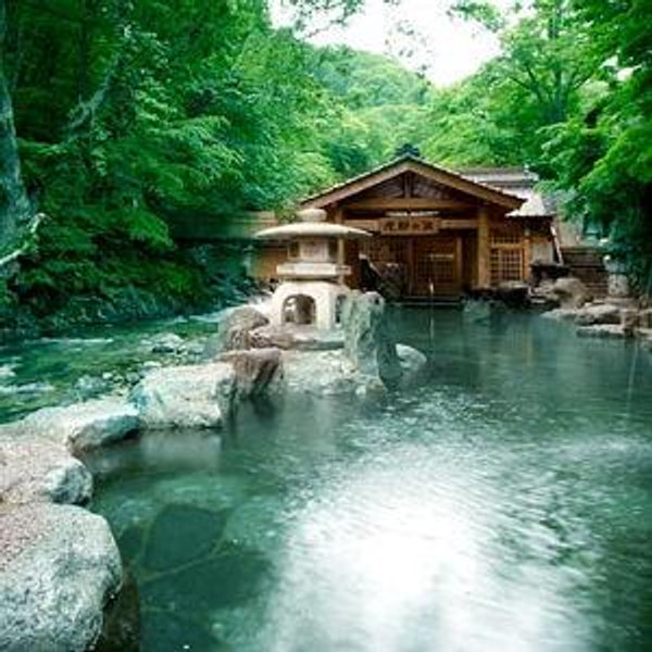 Onsen Trip (hot spring)