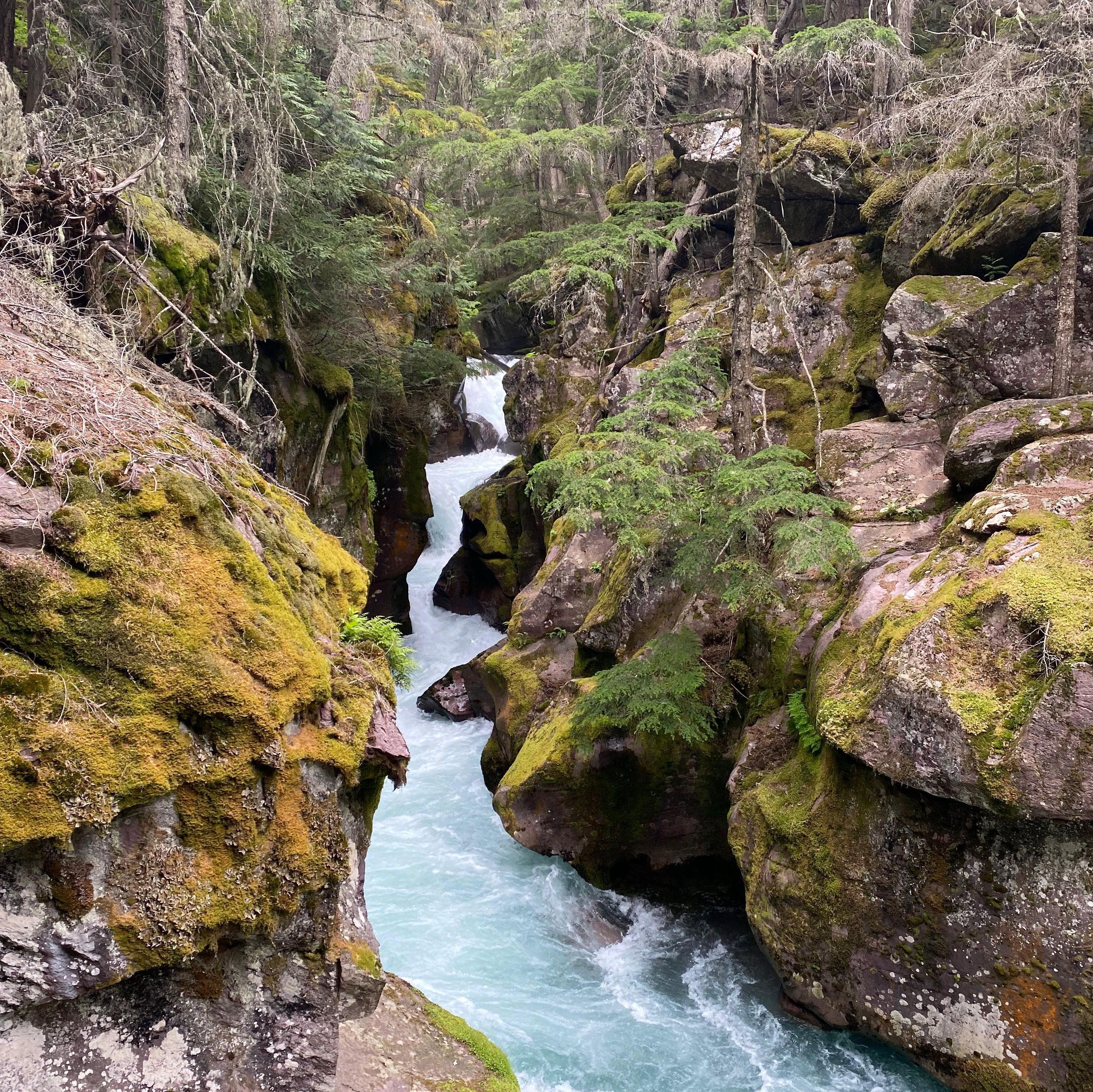 Glacier National Park, 2021