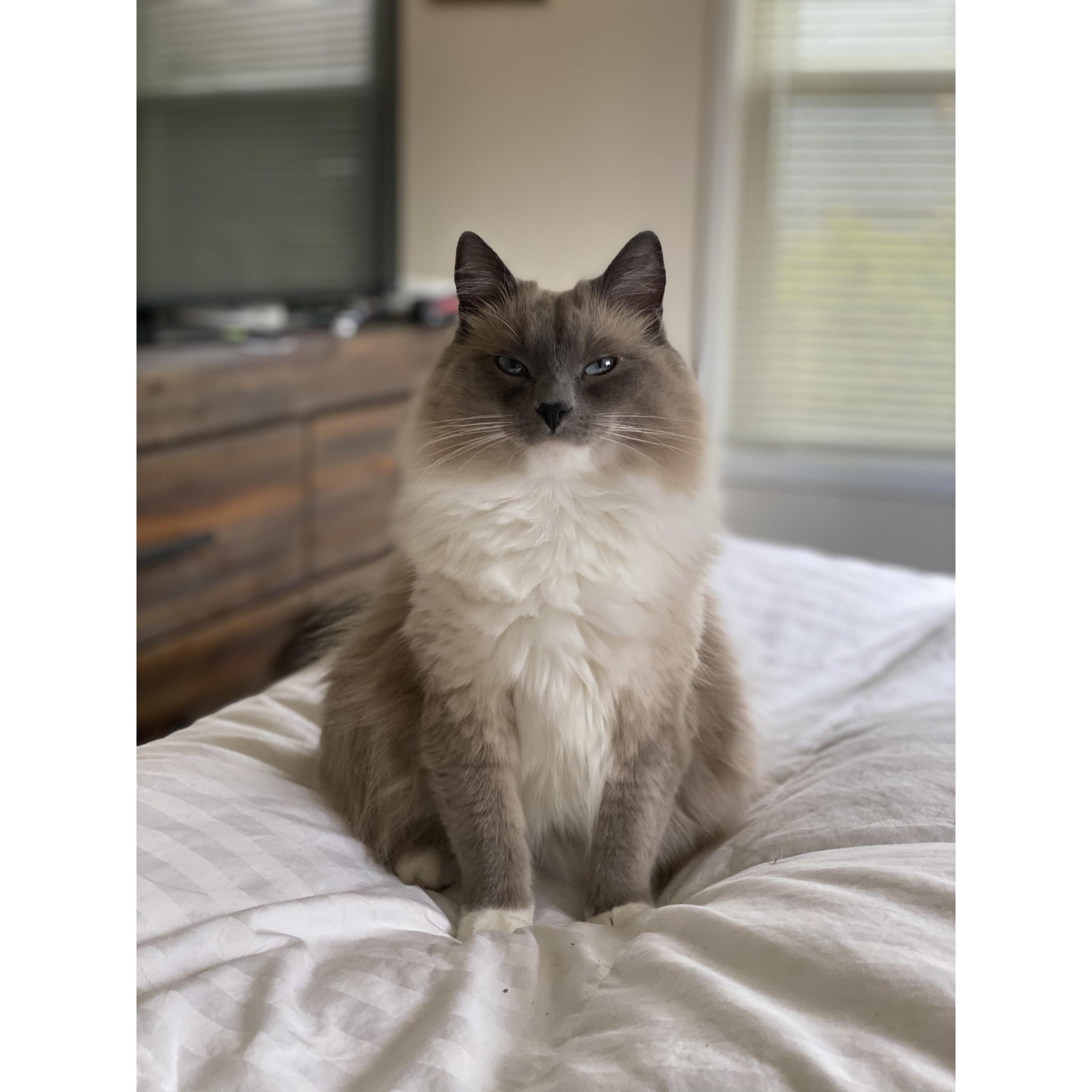Our baby girl Nell!