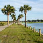 Pitt Street Bridge