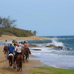Tropical Trail Rides