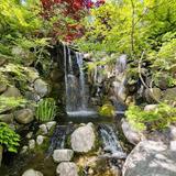 Anderson Japanese Gardens
