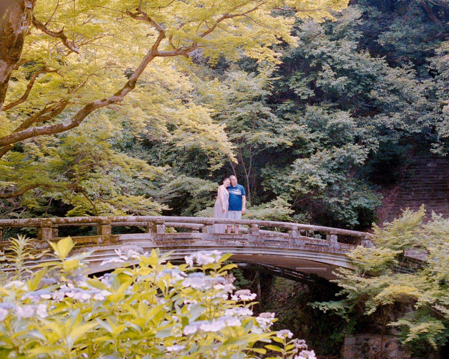 The Wedding Website of Megan Carpenter and Daniel Reynolds